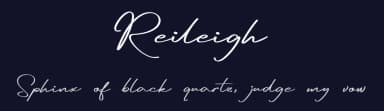Reileigh by Lettersiro Studio — Script Handwritten Font — thumbnail 2