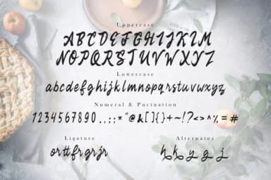 Rekyoto Font by Vunira — Script Handwritten Font — thumbnail 4