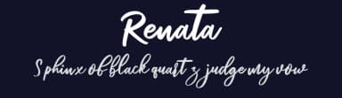 Renata by Mr Letters — Script Handwritten Font — thumbnail 2
