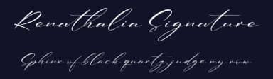 Renathalia Signature by Perspectype Studio - Letterena.com — Script Handwritten Font — thumbnail 2
