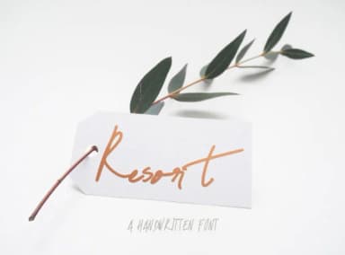 Resort Script Font by lunarctic — Script Handwritten Font — thumbnail 1