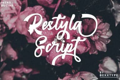 Restyla Script Font by Bexx Type — Script Handwritten Font — thumbnail 1