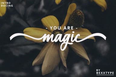 Restyla Script Font by Bexx Type — Script Handwritten Font — thumbnail 7