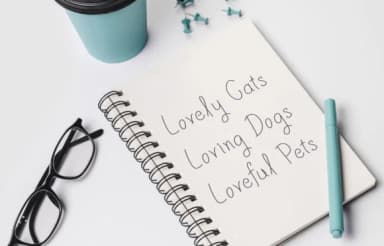 Revando Font by Dasagani — Script Handwritten Font — thumbnail 4