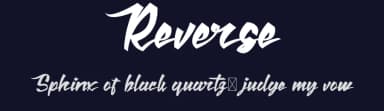 Reverse by RaisProject — Script Handwritten Font — thumbnail 2