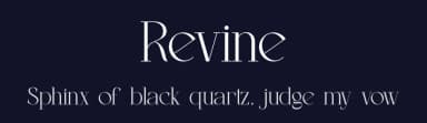 Revine by Slide Shoot Type — Serif Font — thumbnail 2
