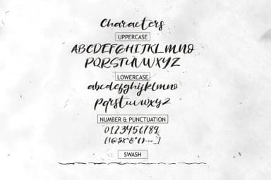 Revolution Brush Font by Debut Studio — Script Handwritten Font — thumbnail 8