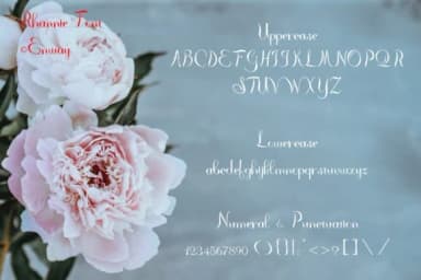 Rhannie Script Font by enway — Script Handwritten Font — thumbnail 2