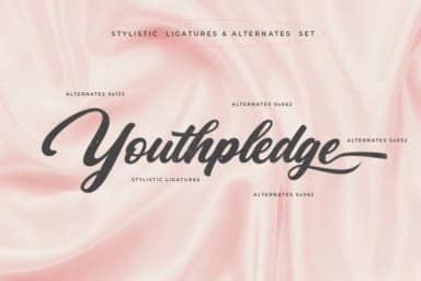 Rhapson Script Font by Max.co Studio — Script Handwritten Font — thumbnail 5