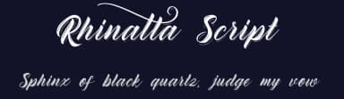 Rhinatta Script by Debut Studio — Script Handwritten Font — thumbnail 2