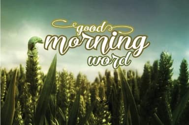 Ricca Font by Olexstudio — Script Handwritten Font — thumbnail 3