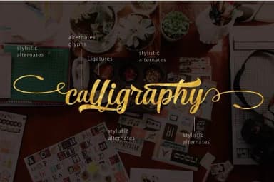 Ricca Font by Olexstudio — Script Handwritten Font — thumbnail 5