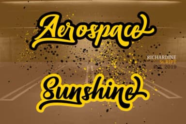 Richardine Script Font by Bexx Type — Script Handwritten Font — thumbnail 6