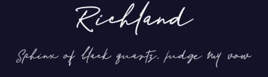 Richland by Mr Letters — Script Handwritten Font — thumbnail 2