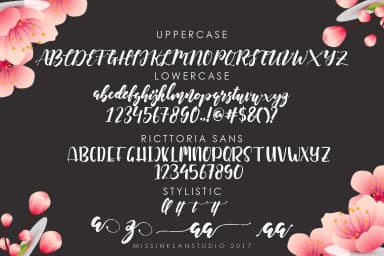 Ricttoria Font by Pineungtype & Missinklab — Script Handwritten Font — thumbnail 5