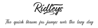 Ridleys by Calligraphy Fonts — Script Handwritten Font — thumbnail 1