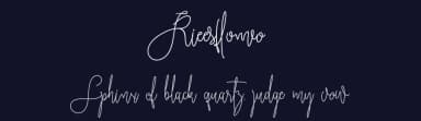 Rieesflomeo by Chairul Art — Script Handwritten Font — thumbnail 2