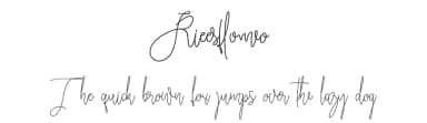 Rieesflomeo by Chairul Art — Script Handwritten Font — thumbnail 1
