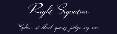 Right Signature by UI Creative — Script Handwritten Font — thumbnail 2