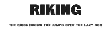 Riking by Graphicxell — Sans Serif Font — thumbnail 1