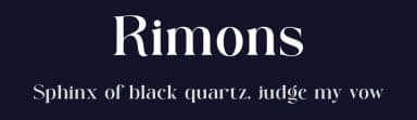 Rimons by ToniStudio — Serif Font — thumbnail 2