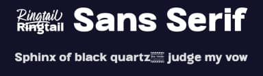 Ringtail Sans Serif by Din Studio — Sans Serif Font — thumbnail 2