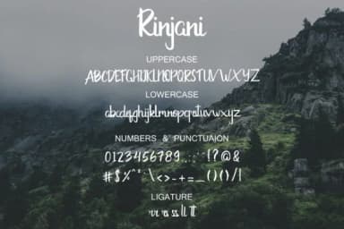 Rinjani Font by Saber Studio — Script Handwritten Font — thumbnail 6