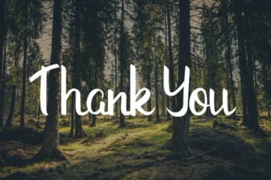 Rinjani Font by Saber Studio — Script Handwritten Font — thumbnail 7