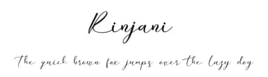 Rinjani by Erik Studio — Script Handwritten Font — thumbnail 1