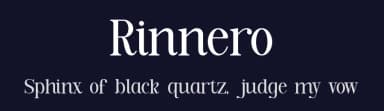Rinnero by Slide Shoot Type — Serif Font — thumbnail 2