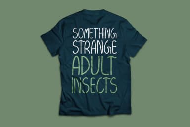 Rishima Light Font by Contour Fonts — Script Handwritten Font — thumbnail 4