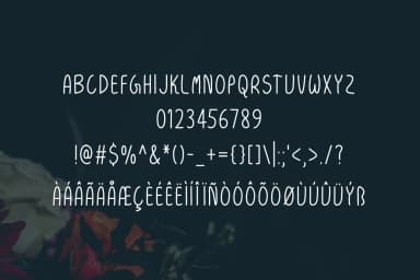 Rishima Light Font by Contour Fonts — Script Handwritten Font — thumbnail 5