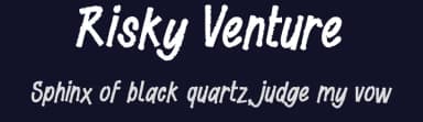 Risky Venture by Typefactoryco — Script Handwritten Font — thumbnail 2