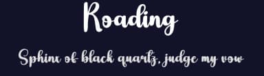 Roading by Scratchones — Script Handwritten Font — thumbnail 2