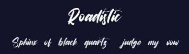 Roadistic by Vunira Design — Script Handwritten Font — thumbnail 2