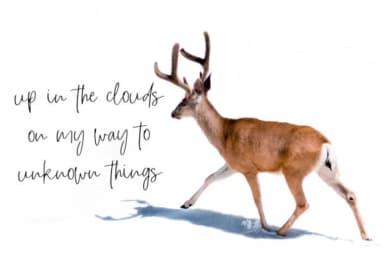 Roadtrip Font by Studio_Art — Script Handwritten Font — thumbnail 6