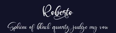 Roberto by Letterara — Script Handwritten Font — thumbnail 2