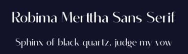Robima Merttha Sans Serif by Storytype Studio — Serif Font — thumbnail 2