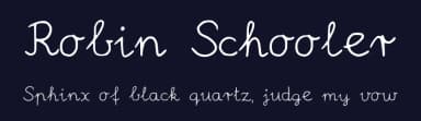 Robin Schooler by Borka Szabo — Script Handwritten Font — thumbnail 2