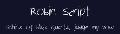 Robin Script by Borka Szabo — Script Handwritten Font — thumbnail 2