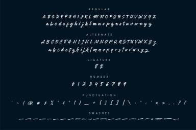 Robusta Font by Runsell Graphic — Script Handwritten Font — thumbnail 6