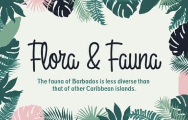 Rockaway Beach Font by daniel.feldt — Script Handwritten Font — thumbnail 3