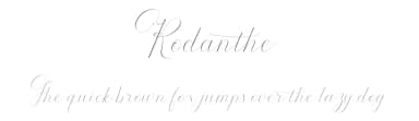 Rodanthe by cropstudio — Script Handwritten Font — thumbnail 1