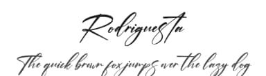 Rodriguesta by Perspectype Studio - Letterena.com — Script Handwritten Font — thumbnail 1