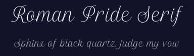Roman Pride Serif by Letterhend Studio — Sans Serif Font — thumbnail 2