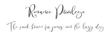 Romance Privilege by Noftanti Studio — Script Handwritten Font — thumbnail 1