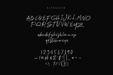 Romano Font by I Do Not Sleep — Script Handwritten Font — thumbnail 3