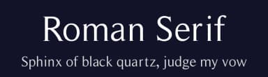 Roman Serif by Manfred Klein — Serif Font — thumbnail 2