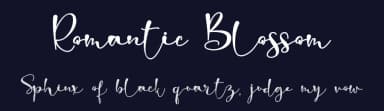 Romantic Blossom by Stefani Letter — Script Handwritten Font — thumbnail 2