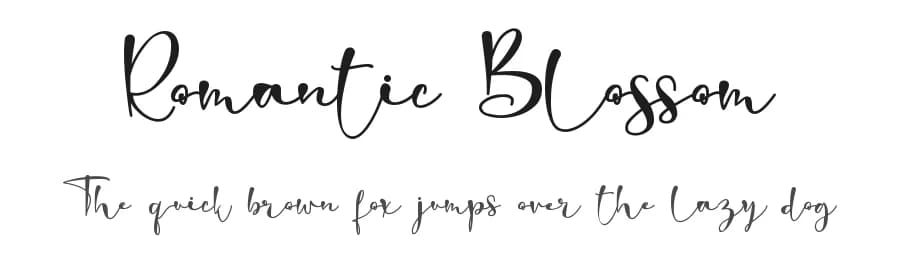Romantic Blossom by Stefani Letter — Script Handwritten Font